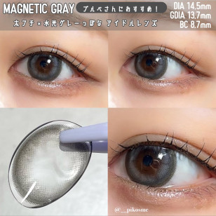 a-eye 1 Day 10 Magnetic Gray ワンデーリフレア エーアイ マグネティックグレー